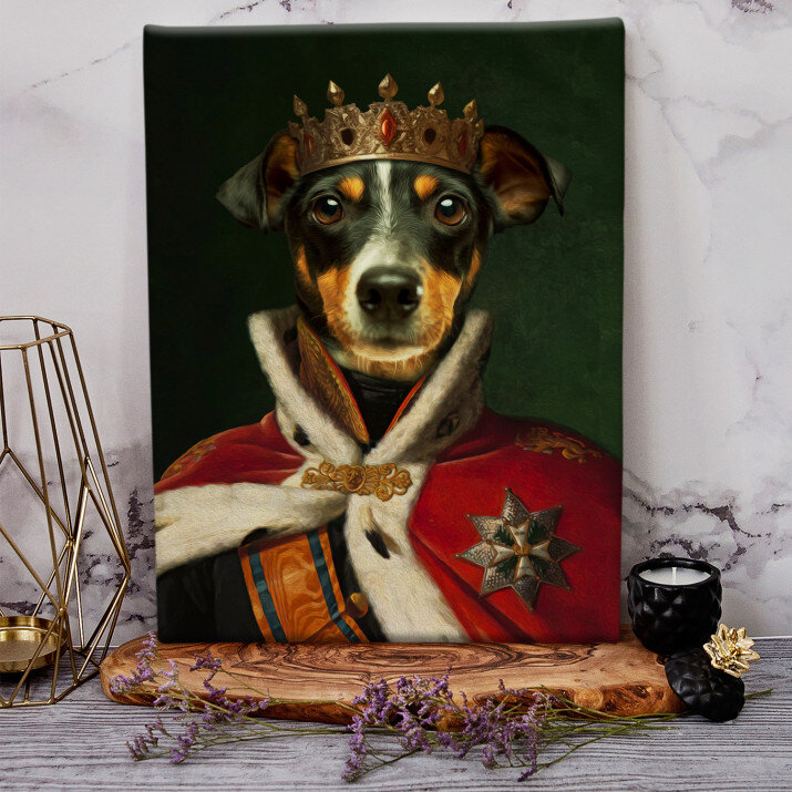 König - Haustier Königsporträt