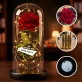 Eigenes Projekt - Ewige Rose Im Glas