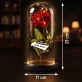 Eigenes Projekt - Ewige Rose Im Glas