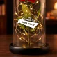 Eigenes Projekt - Ewige Rose Im Glas