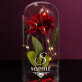 Elegant - Ewige Rose Im Glas Elegant - Ewige Rose Im Glas