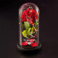 Elegant - Ewige Rose Im Glas Elegant - Ewige Rose Im Glas