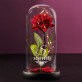 Elegant - Ewige Rose Im Glas Elegant - Ewige Rose Im Glas