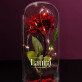 Name - Ewige Rose Im Glas Name - Ewige Rose Im Glas