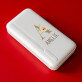 Initiale Name Blumen - Powerbank 20000 mAh