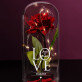 Love - Ewige Rose Im Glas Love - Ewige Rose Im Glas