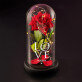 Love - Ewige Rose Im Glas Love - Ewige Rose Im Glas