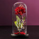 Love - Ewige Rose Im Glas Love - Ewige Rose Im Glas