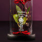 Unsere Liebe ist ewig - Ewige Rose Im Glas Unsere Liebe ist ewig - Ewige Rose Im Glas