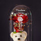 Unsere liebe ist ewig - Ewige Rose mit Teddybär Unsere liebe ist ewig - Ewige Rose mit Teddybär
