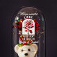 Möge unsere liebe - Ewige Rose mit Teddybär Möge unsere liebe - Ewige Rose mit Teddybär