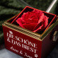 Die schöne und das biest - Schmuckkästchen mit einer Rose