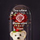 Schöne blume - Ewige Rose mit Teddybär