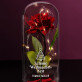 Schöne Weihnachtszeit - Ewige Rose Im Glas Schöne Weihnachtszeit - Ewige Rose Im Glas
