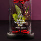Schöne Weihnachtszeit - Ewige Rose Im Glas Schöne Weihnachtszeit - Ewige Rose Im Glas