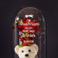 Sternschnuppe für dich - Ewige Rose mit Teddybär Sternschnuppe für dich - Ewige Rose mit Teddybär