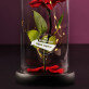 Eigenes Projekt - Ewige Rose Im Glas
