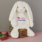 Give me a hug - Maskottchen mit Stickerei