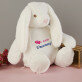 Give me a hug - Maskottchen mit Stickerei