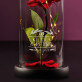 Ihr Tag - Ewige Rose Im Glas