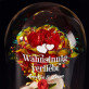 Wahnsinnig verliebt - Ewige Rose mit Teddybär