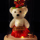 Verliebte - Ewige Rose mit Teddybär