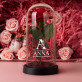 Geschenkset Für eine Freundin mit Ewiger Rose, Schokolade und Badesalz Geschenkset Für eine Freundin mit Ewiger Rose, Schokolade und Badesalz